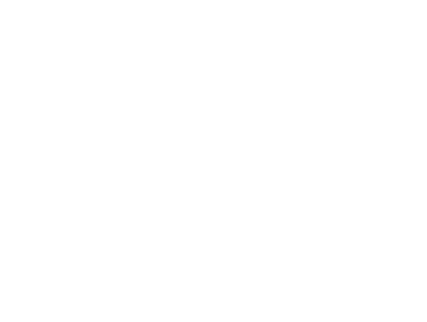 GO Transport